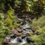 Dòng chảy tỉnh thức