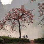 Dòng chảy trong lòng đất
