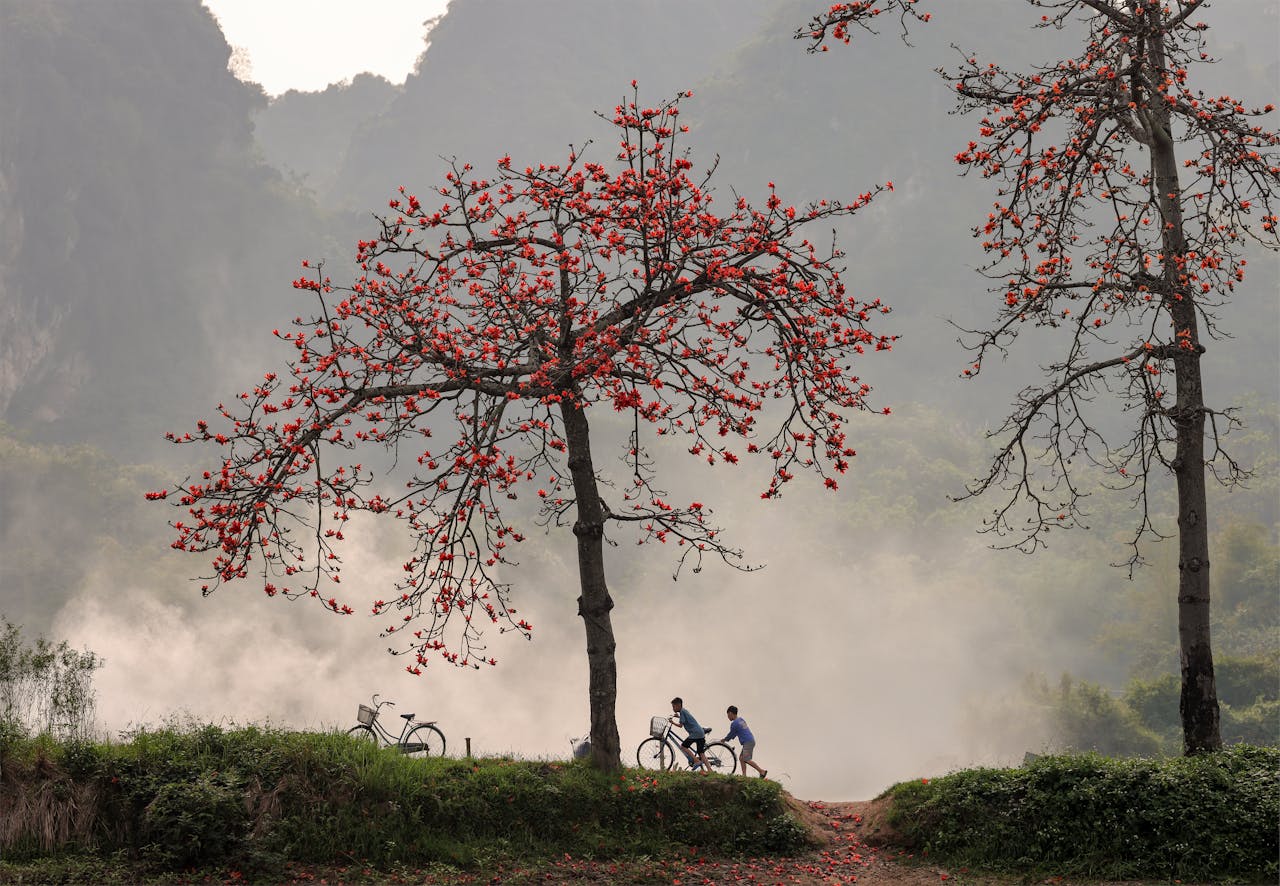 Dòng chảy trong lòng đất